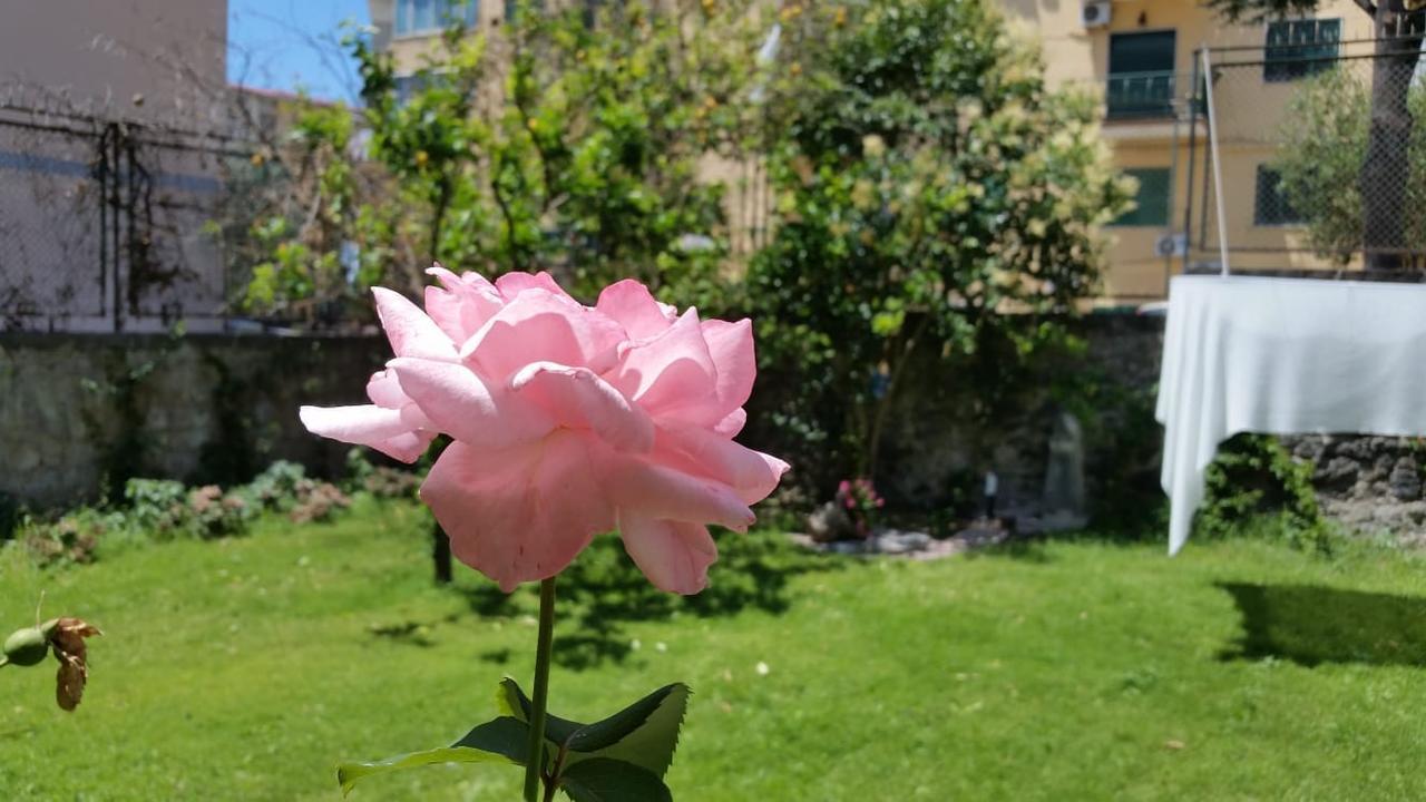 Bed and Breakfast Vesuvius Gardens - Fagianeria Borbonica Relais Ercolano Exterior foto